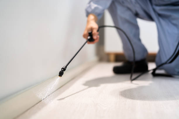 Professional exterminator conducting IPM assessment in South Vacherie